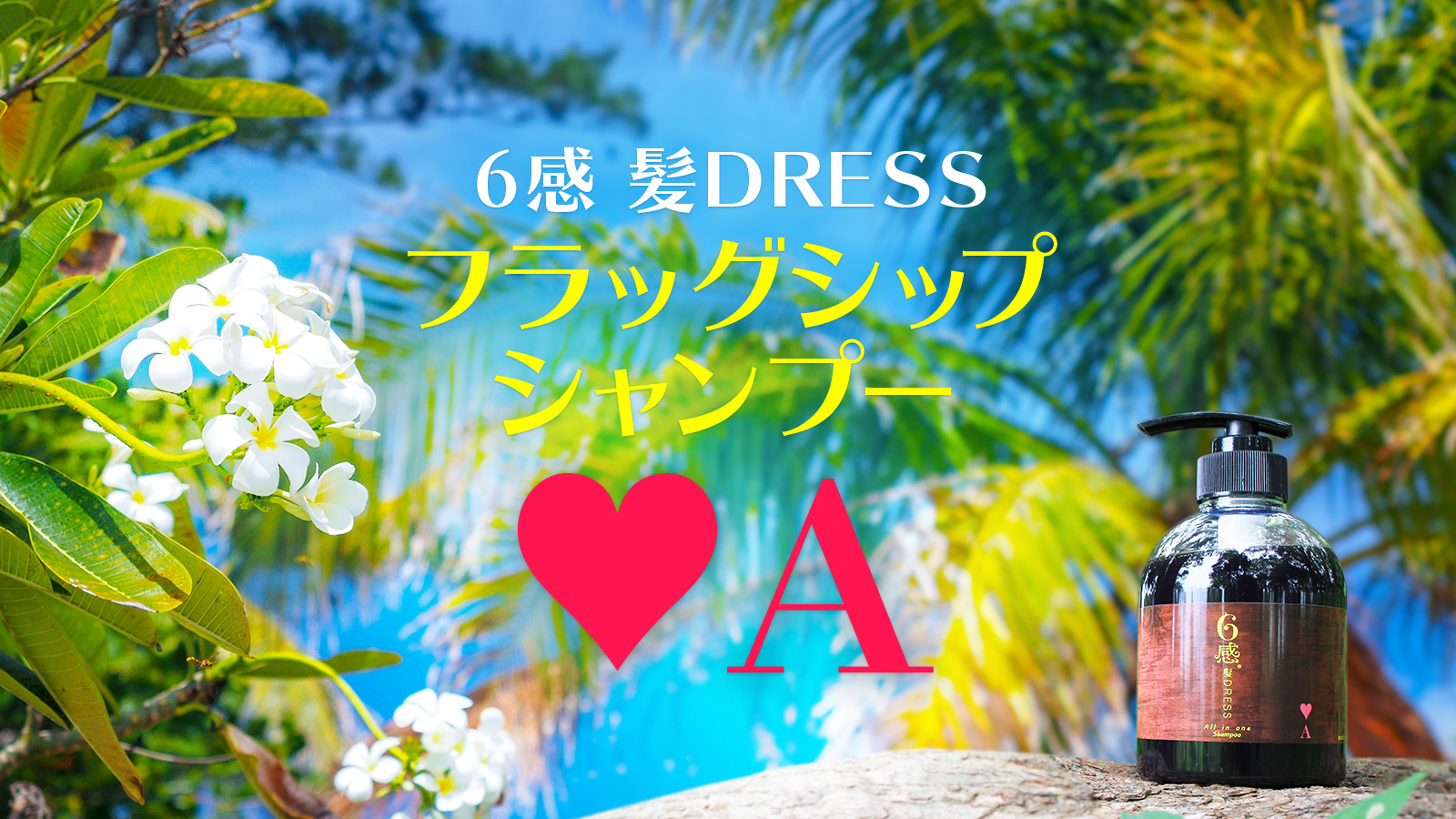 6感 髪DRESS フラッグシップシャンプー ハートのエース