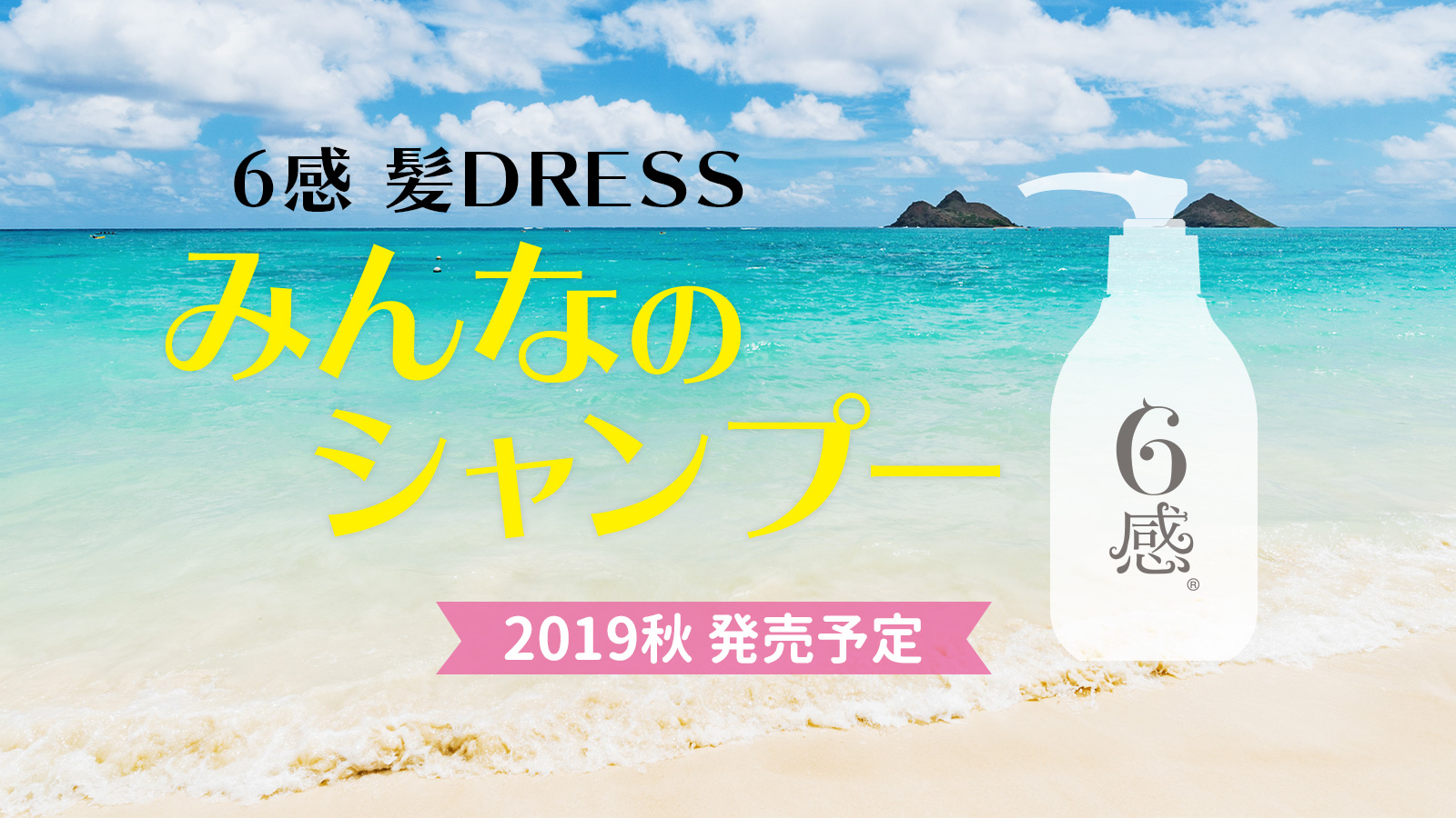 6感 髪DRESS みんなのシャンプー