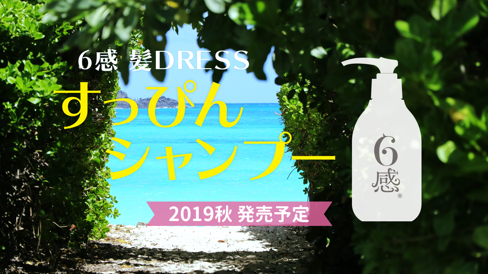 6感 髪DRESS すっぴんシャンプー